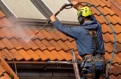 Démoussage et hydrofuge de toiture au Bourg-d'Hem